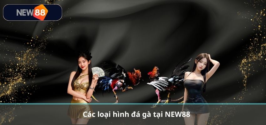 Các loại hình đá gà tại NEW88