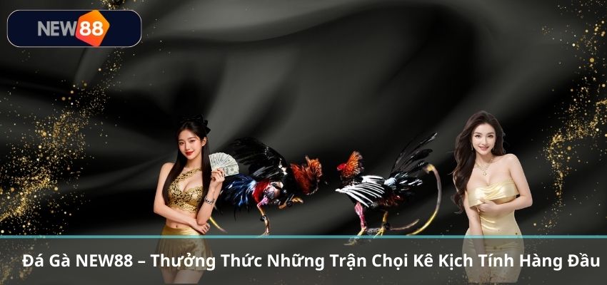 Đá Gà NEW88 – Thưởng Thức Những Trận Chọi Kê Kịch Tính Hàng Đầu