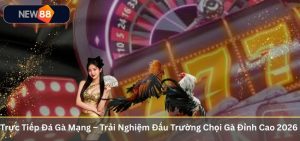 Trực Tiếp Đá Gà Mạng – Trải Nghiệm Đấu Trường Chọi Gà Đỉnh Cao 2026