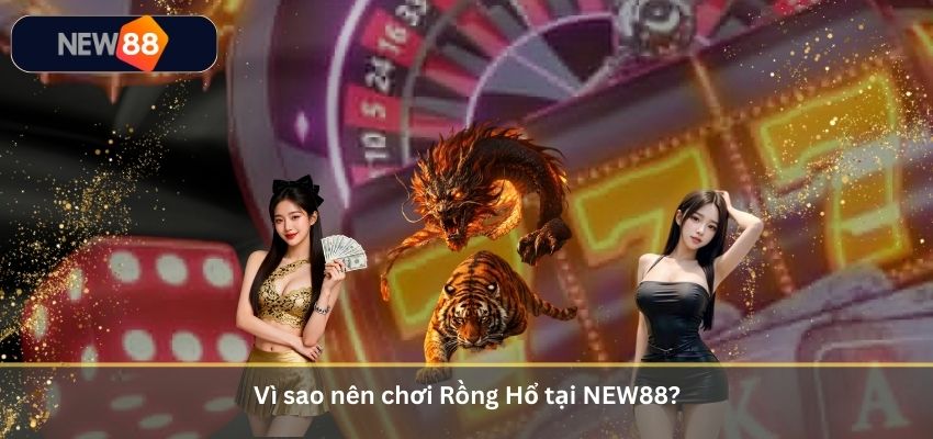 Vì sao nên chơi Rồng Hổ tại NEW88?